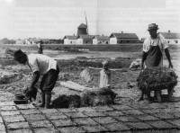 5. Vlyogvets. Karcag (Szolnok megye). Tagn Galimdzsn felvtele, 1934 (Nprajzi Mzeum, Budapest)