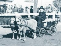 Pankotai birkafogat, Mezgazdasgi Killts, 1956